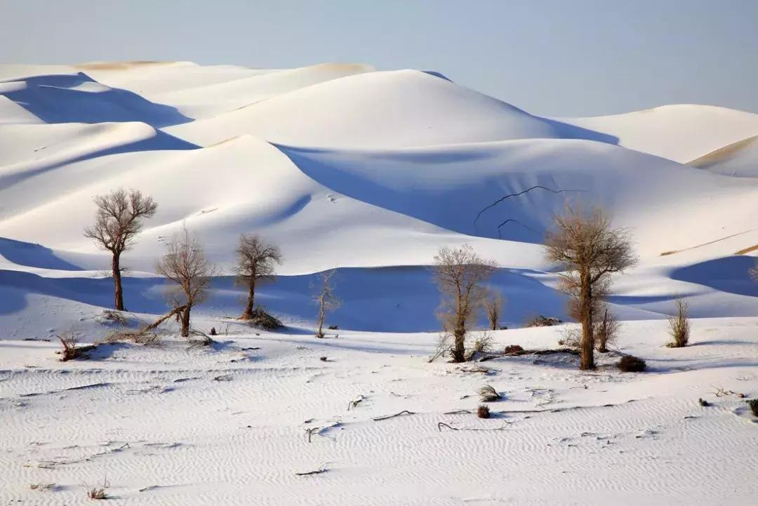 冬天的阿勒泰冰雪,冬天的雪冰雪奇缘