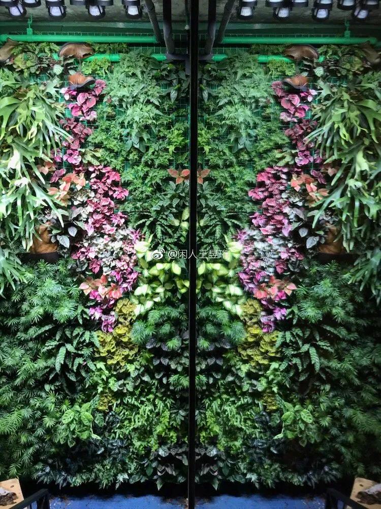 王昱珩不上班做到财富自由,最强大脑王昱珩清华毕业后不上班