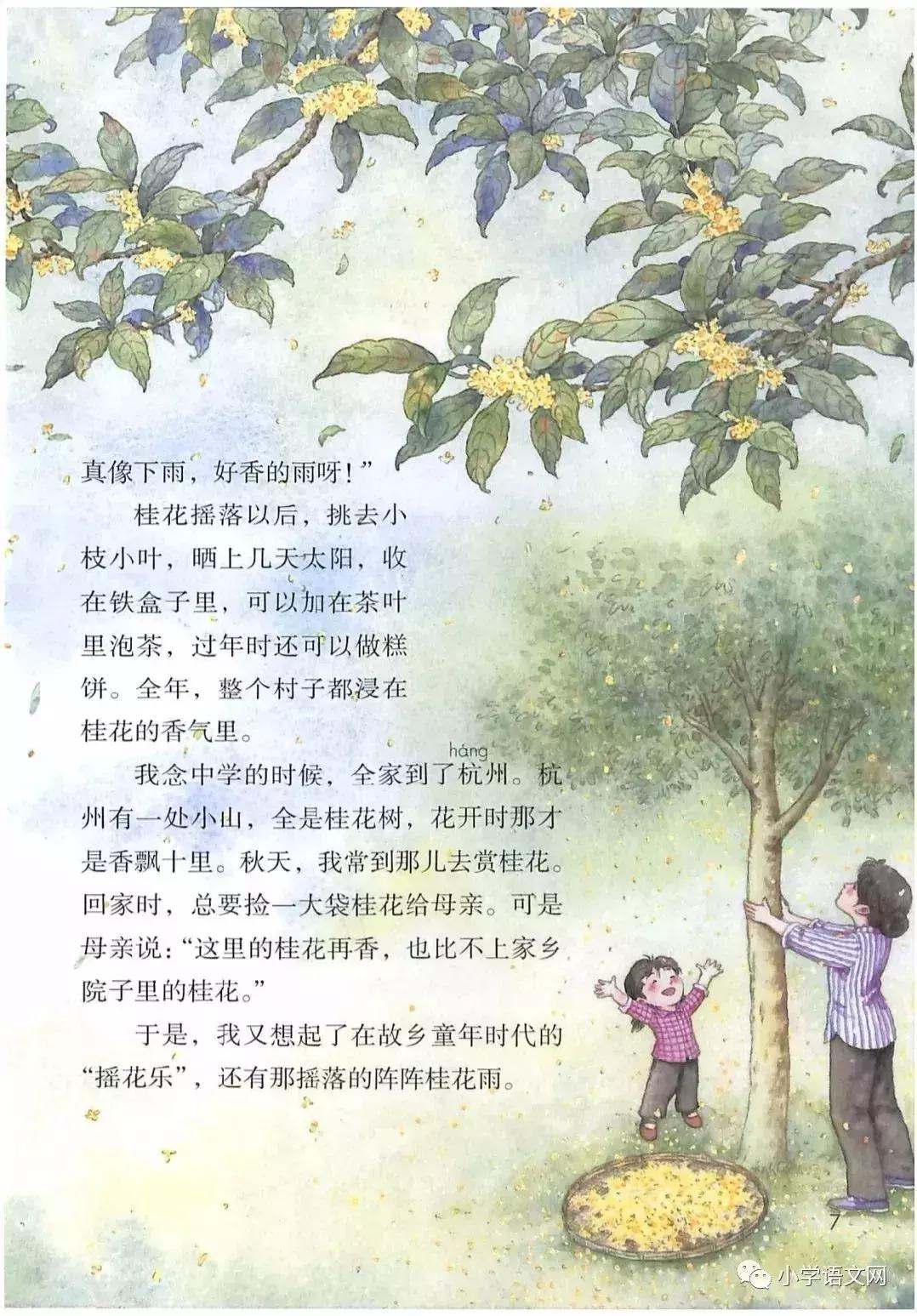 2020版部编版五年级上册语文目录,部编版语文五年级上册教材电子版