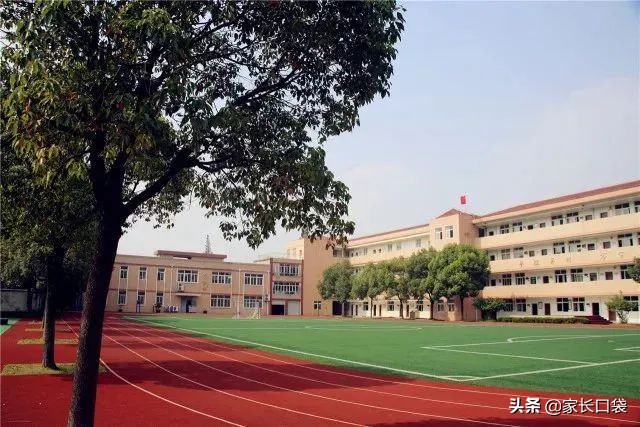 上海热门小学隐藏技：芭蕾、乒乓、游泳、书法、科技……样样有