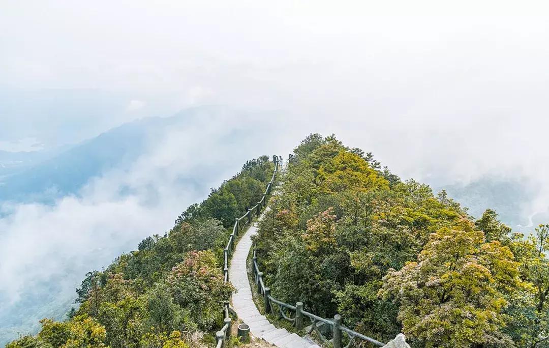 隐藏在梧桐山里的世外桃源,深山独门独户世外桃源