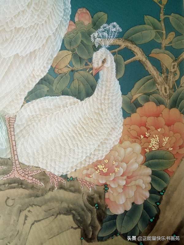 孔雀工笔画入门教程步骤图,白孔雀工笔画图片大全大图