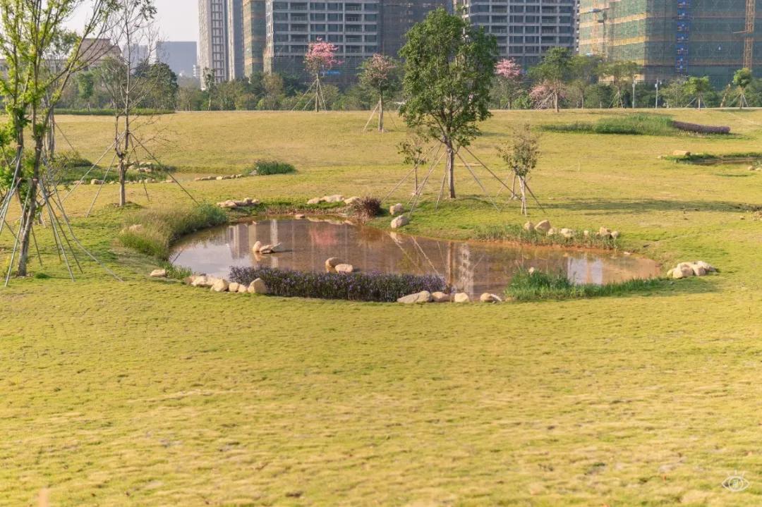 深圳免费景点好玩排名,深圳这些新公园免费玩