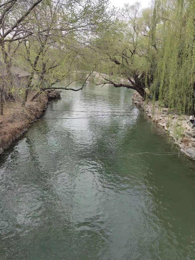 又一次“进京”，却也是走的匆忙......