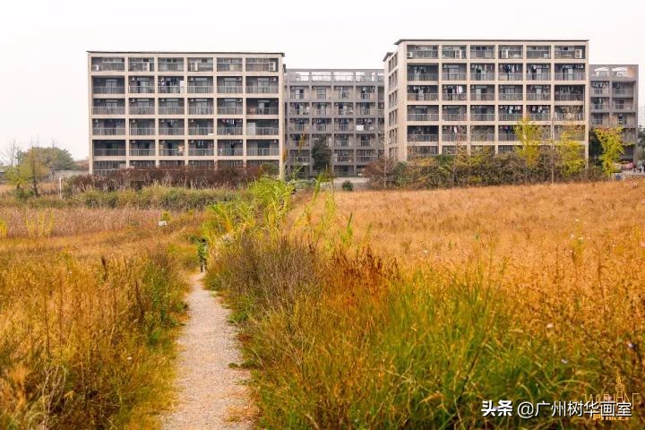 考上湖大是什么水平,考上湖美一年花多少