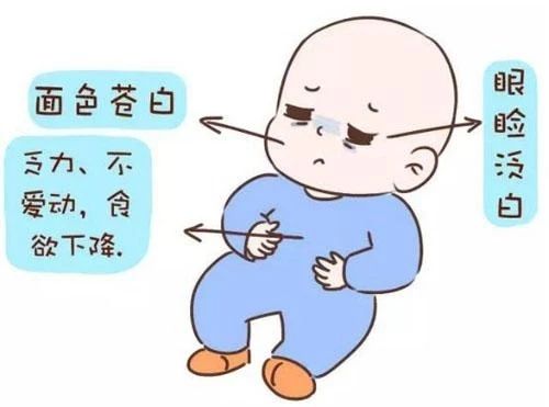 贫血儿童健康指导,小儿贫血的健康科普文章