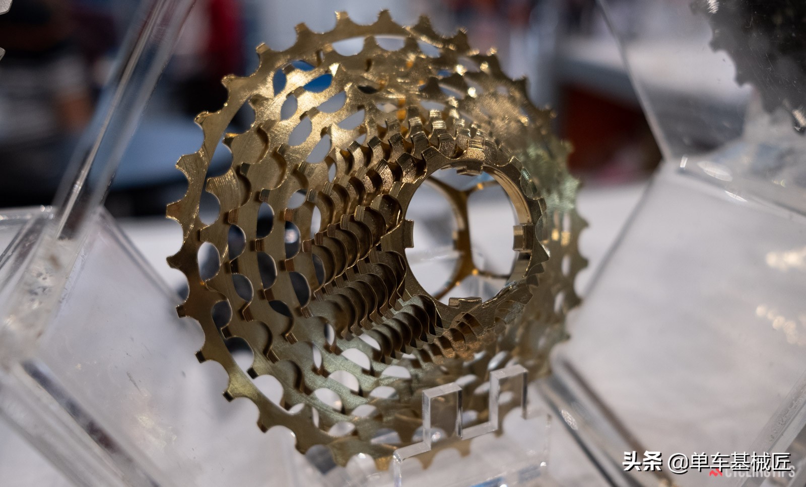 台北自行车展2024有坎普吗,2019台北自行车展视频