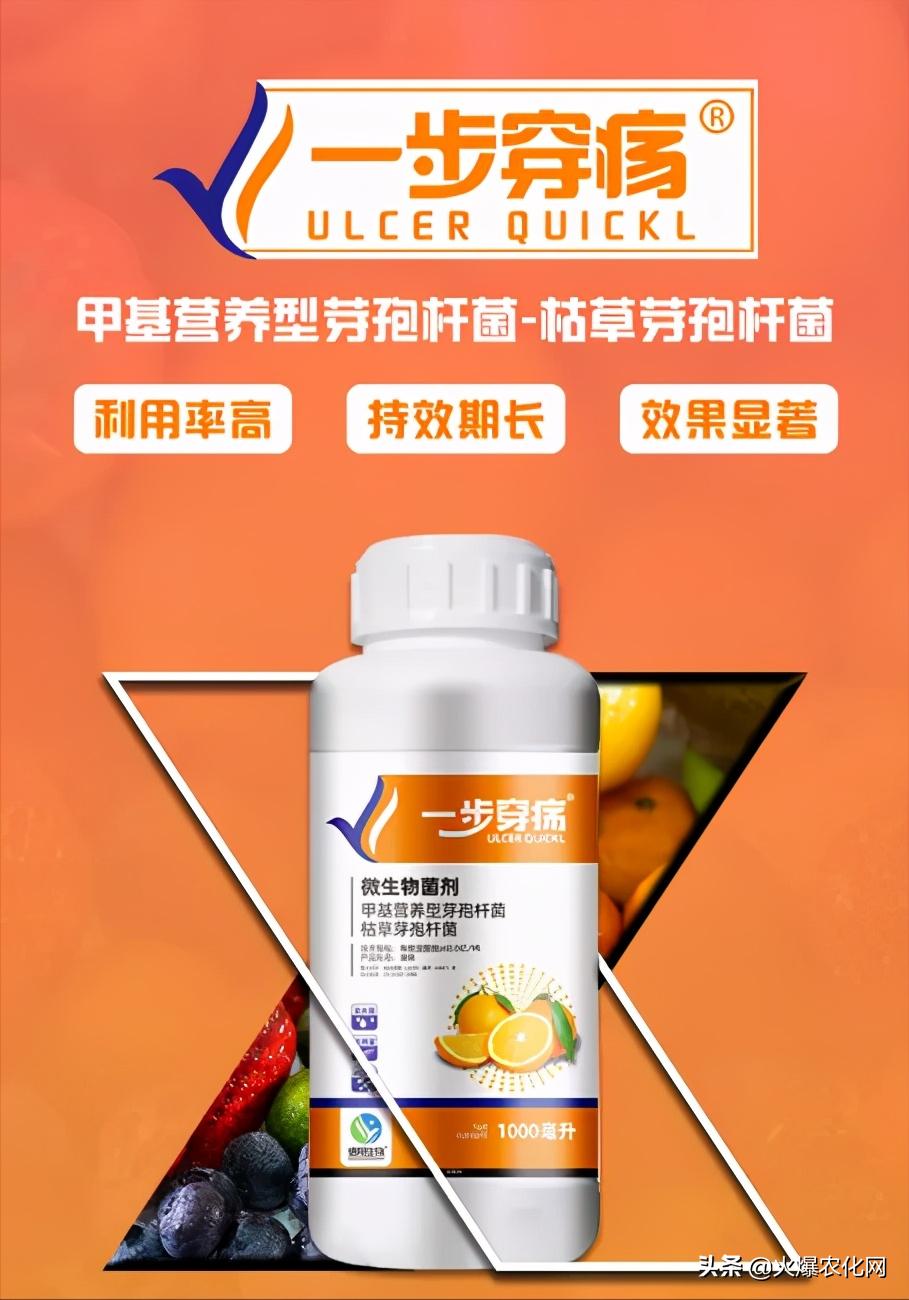 全面替代铜制剂！新一代“击溃爆品”！不伤花果！防治率高达96%