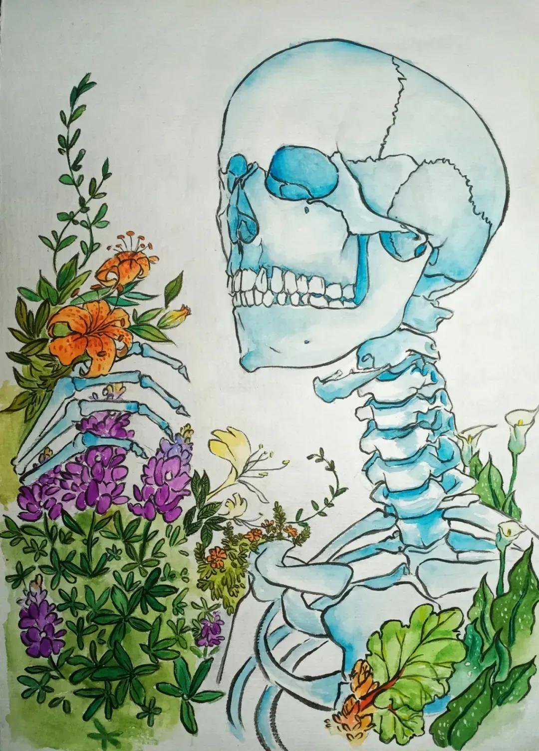 左手丹青,右手手术刀,985名校医学生笔记曝光!网友:这是学神级别的!