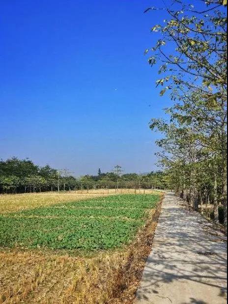 珠海市的古镇古村落,珠海最值得打卡的三大古村