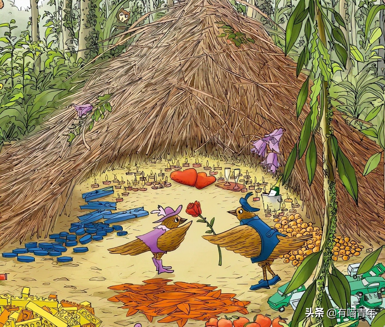 12个动物啪啪啪知识，最后一个想笑死谁？