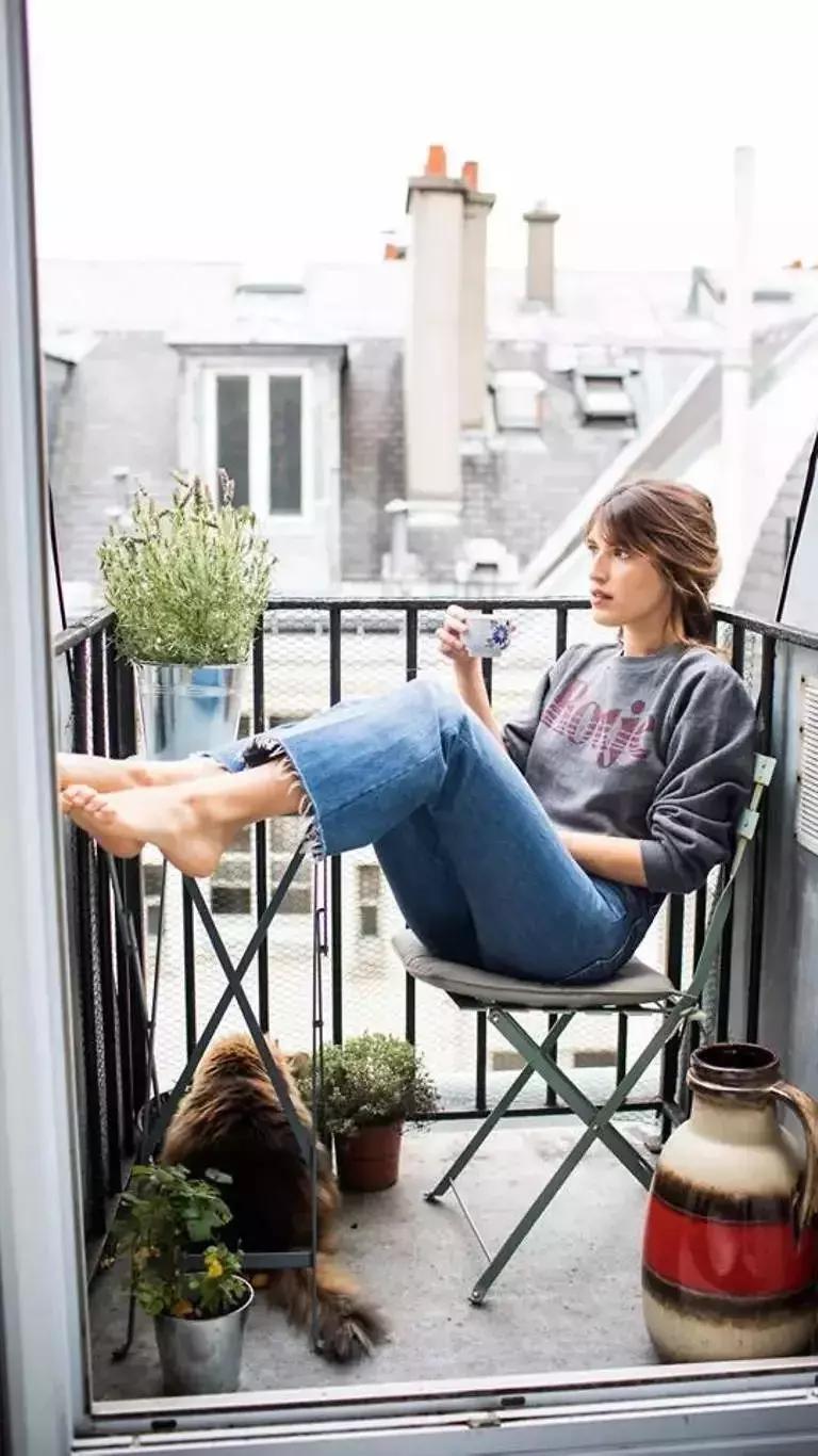 老佛爷的猫继承多少遗产,老佛爷去世了猫继承了多少遗产