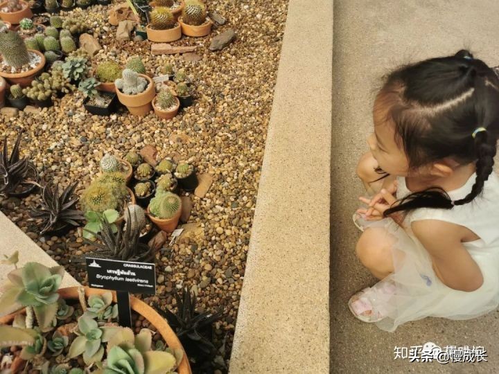 泰国旅行隔离4天,泰国隔离式旅游