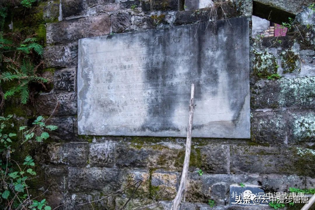行走的风景岳池,行走的“风景”