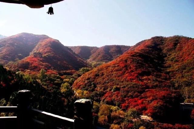 济南旅游景点推荐带孩子玩,济南旅游景点推荐适合带孩子