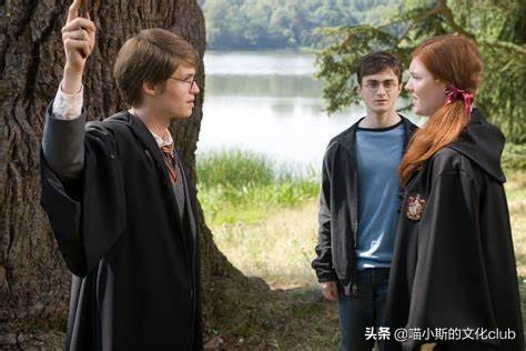 哈利波特中詹姆波特的真实颜值,哈利波特长大逆袭