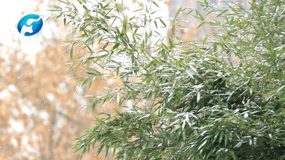 郑大一附院消化病院院长刘冰熔和他的NOTES技术：为国争光何惧苦累！