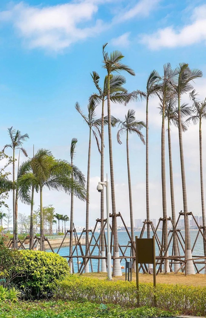 2023年厦门自由行热门攻略,厦门春节旅游攻略自由行最佳路线