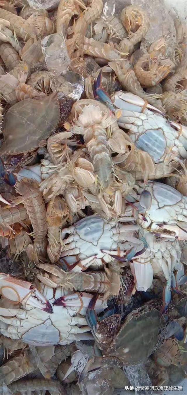 乐亭韩姐农家院价格,天津蓟县乐亭韩姐农家院