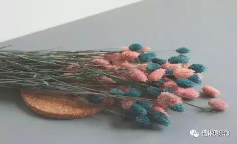 鲜花快枯萎了怎么变干花,枯萎的花先别扔