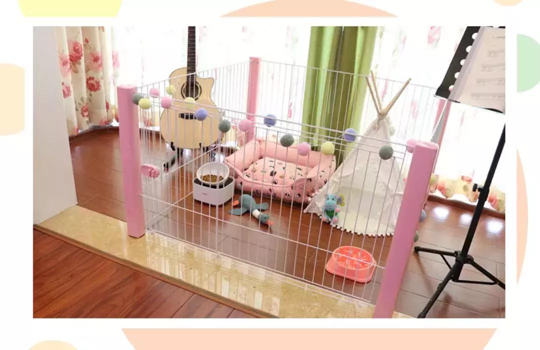 狗狗爱乱尿尿?你打它是没用的!快来看看正确解决方法