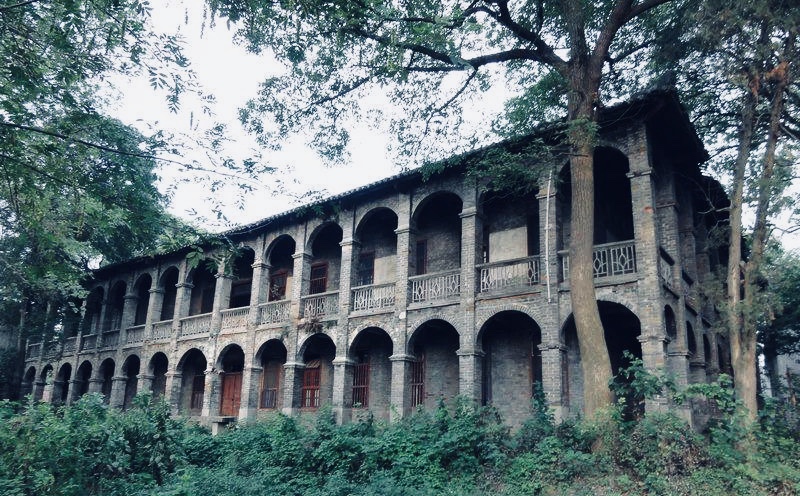 鏂囨梾妗ｆ,宀抽槼鏂囨梾妗ｆ2019