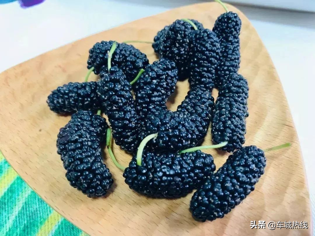 十堰市坐公交车最新要求,今天十堰公交202出行情况