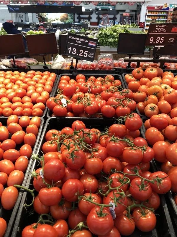 在迪拜怎么降低生活成本,迪拜一周生活成本多少钱