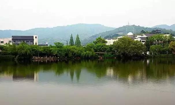 宁波周边踏青免费一日游,宁波踏青游玩的景点