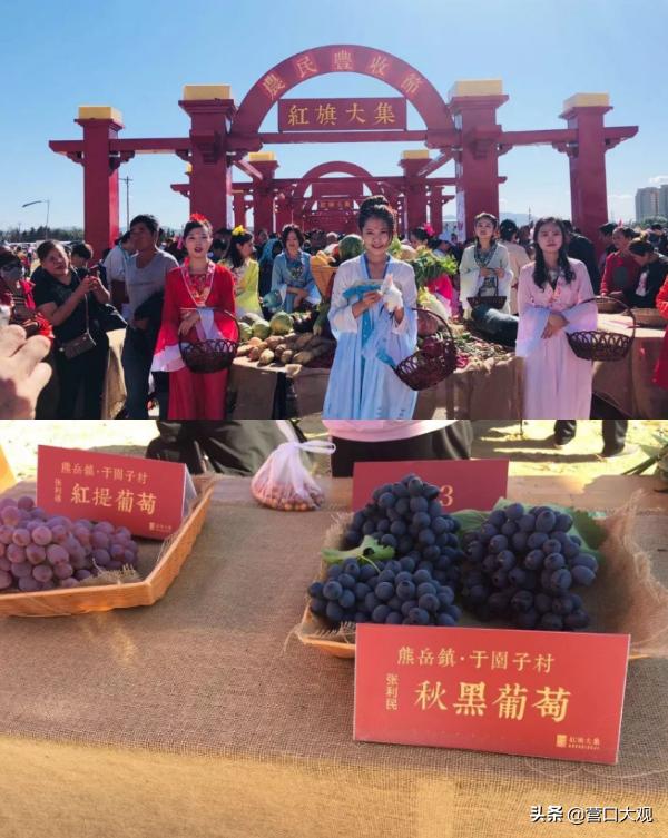 2024鲅鱼圈红旗大集时间表,2021年鲅鱼圈红旗大集