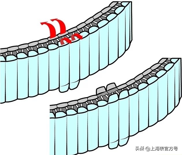 钢表带调节长短小技巧,天王表带怎么调节长短