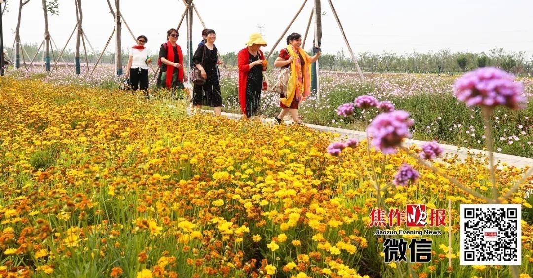 焦作城市会客厅,焦作一楼带会客厅