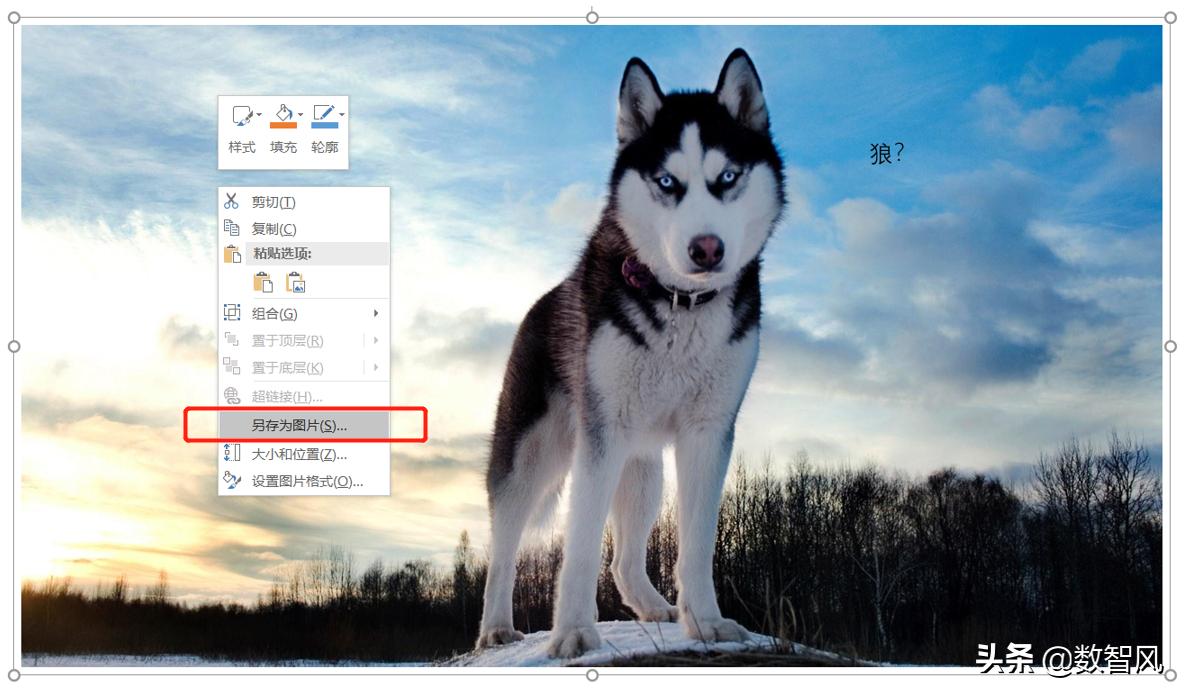 如何给身份证照片加水印和文字,照片加文字方法视频
