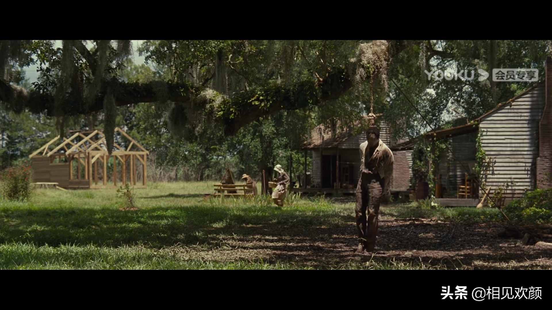 《为奴十二载》：黑人的血泪史，从不存在温情脉脉的征服