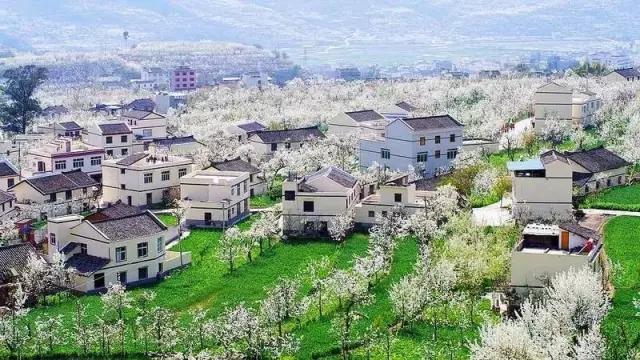 雅安旅行攻略亲子游,雅安市旅行攻略自由行路线