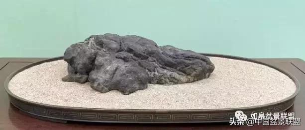 日本盆景巨匠木村正彦作品全程 (木村正彦盆景作品)