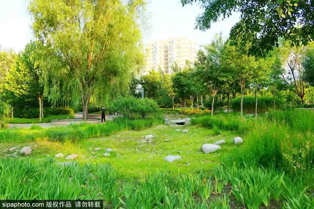 小暑福利活动,今日小暑暑热来袭如何觅得清凉