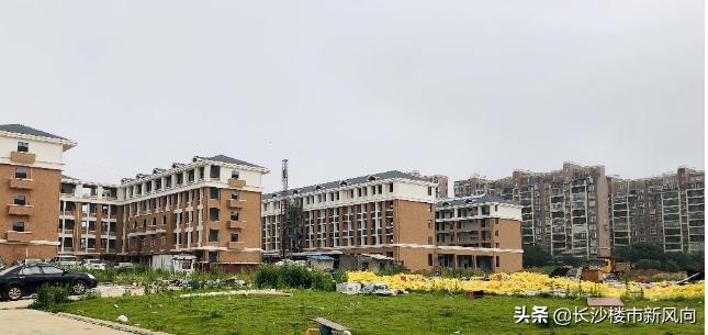 长沙市明德望城中学,望城明德美琪学校咋样