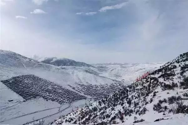 色达下雪了红白交织,色达下雪了图片大全