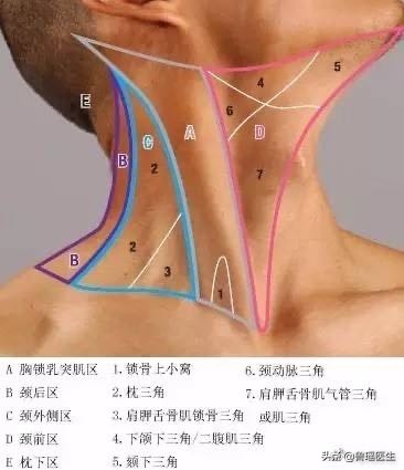 穿刺提示甲状腺癌就要做手术吗,甲状腺癌穿刺疑是恶性