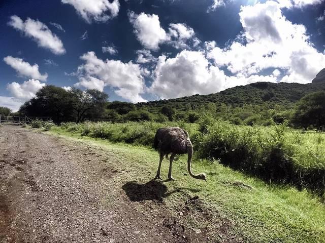 姣涢噷姹傛柉鏅偣,姣涢噷姹傛柉鏅偣浠嬬粛