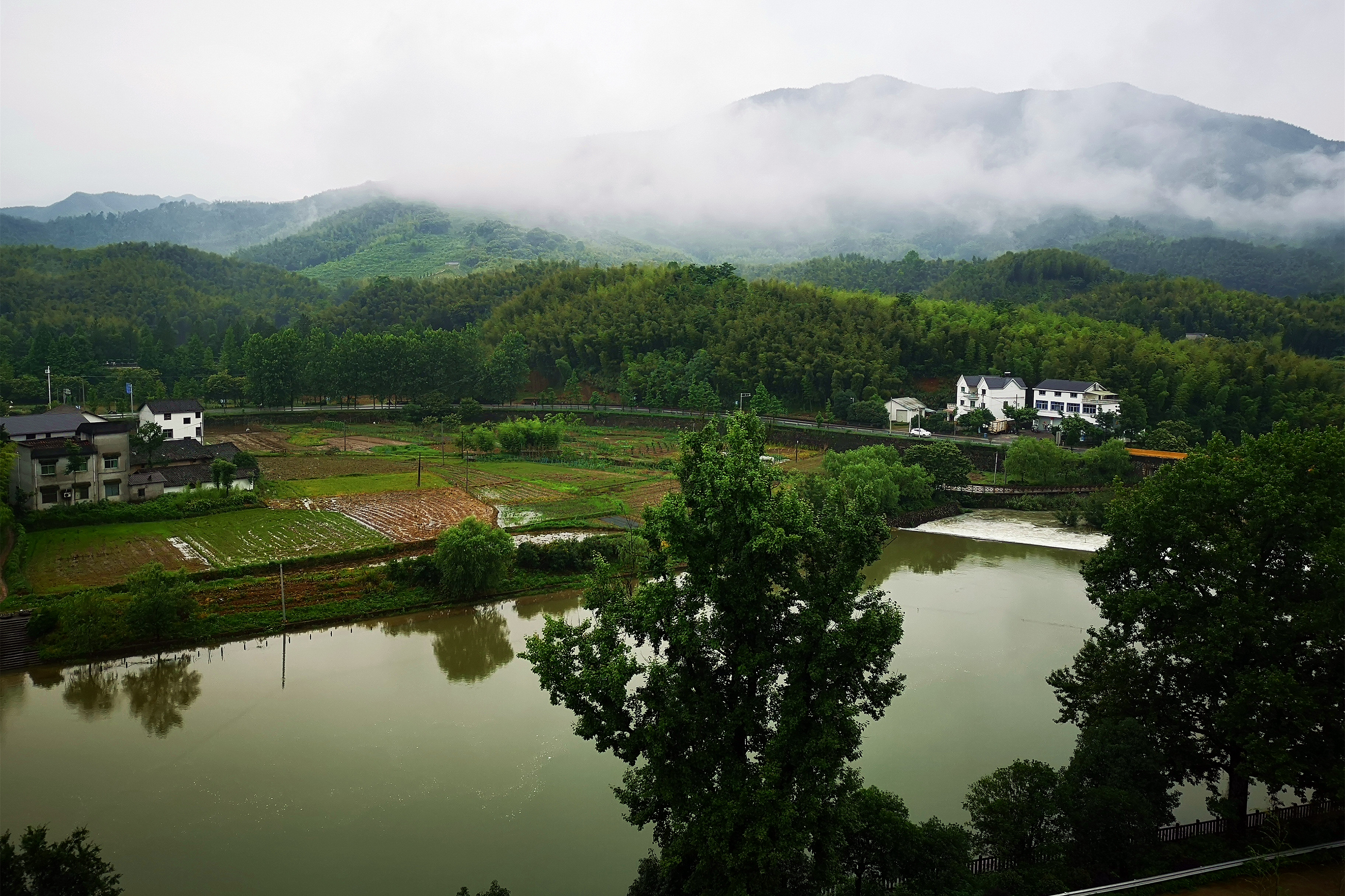 畲族是哪里的民族乡,畲族体验