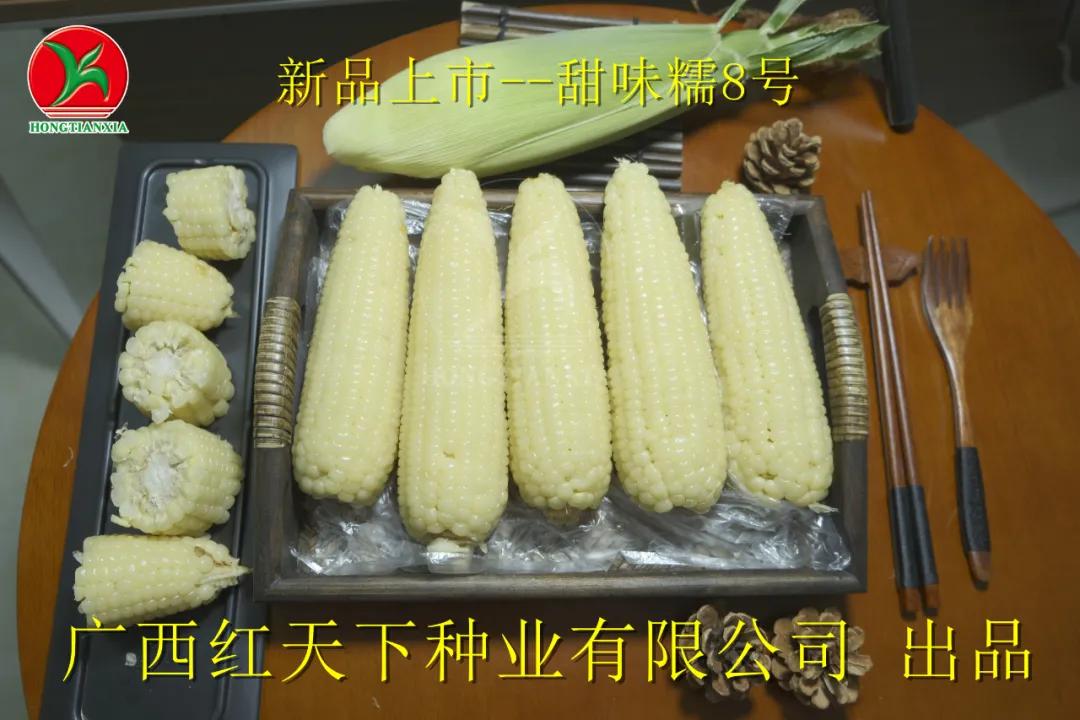 超香甜糯玉米图片,很好吃很糯的玉米