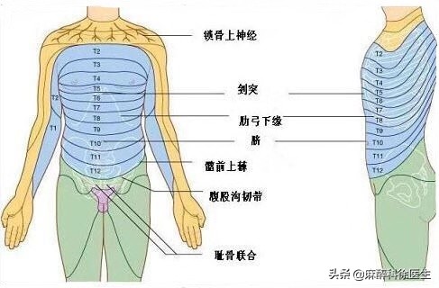 局部麻醉是什么体验,麻醉就是麻醉什么感觉