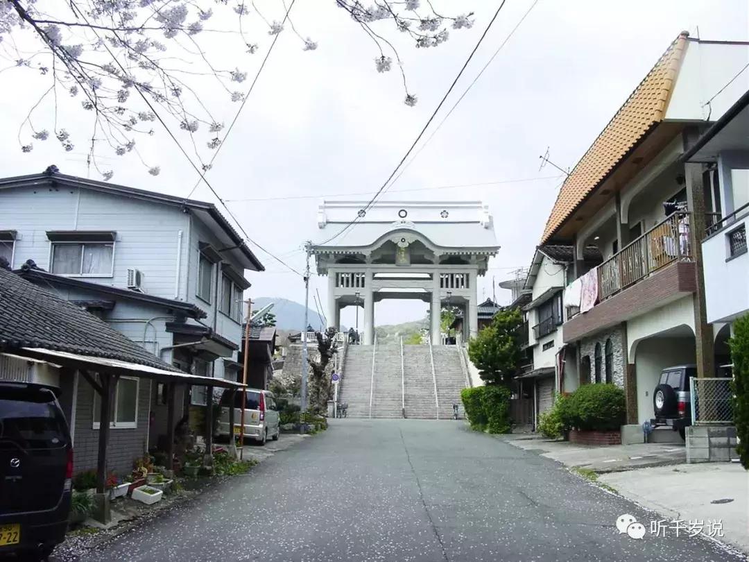 日本东京熊本熊,日本熊本游