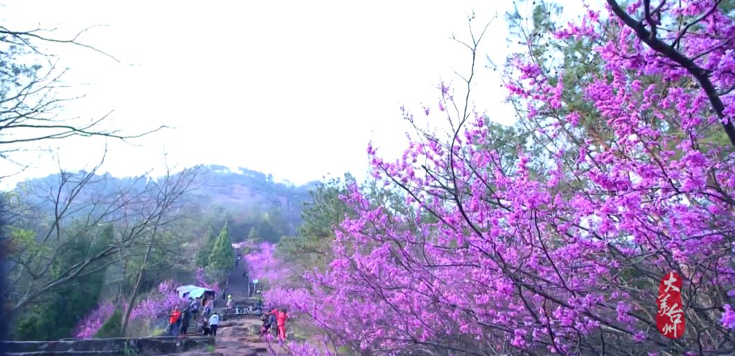 台州历史文化遗产,台州山海文化