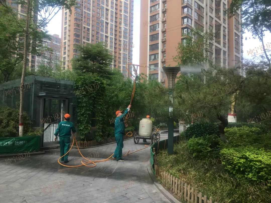 长安区哪个楼盘值得入手,长安板块楼盘有哪些好点