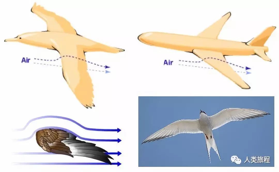 帆船能远洋航行吗,帆船能跑得比风快吗