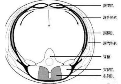 健身教练初学者必看,新入门健身教练推荐书籍