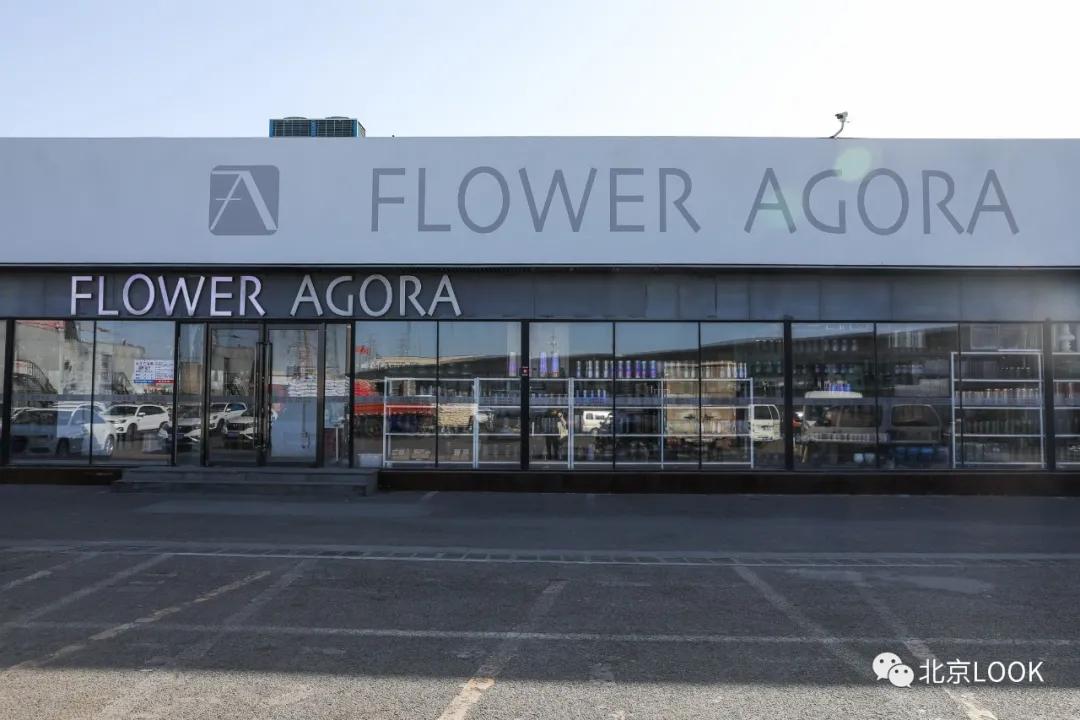 最便宜的北京花市,北京超好逛的花市